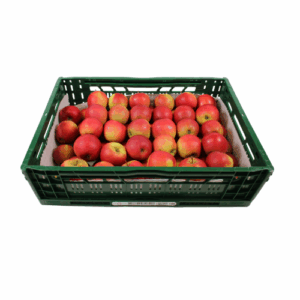 APPELS ELSTAR MAAT 60/70 11 KG