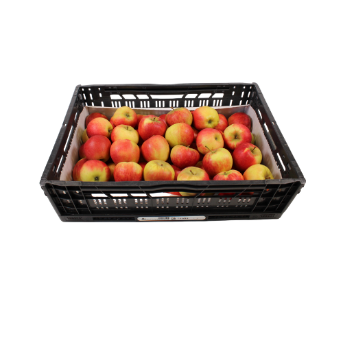 APPELS ELSTAR MAAT 80/90 11 KG