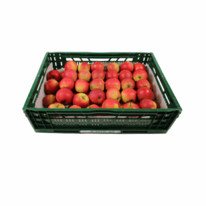 APPELS ELSTAR MAAT 70/80 11 KG