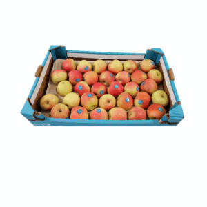 APPELS FUJI MAAT 17.5 KG