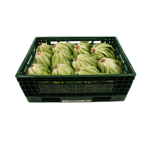 ANDIJVIE 7-11 STUKS 6 KG