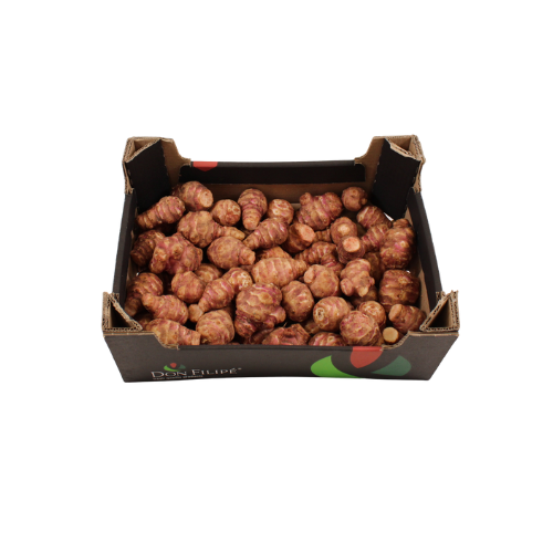 AARDPEER TOPINAMBUR 6 KG ROOD