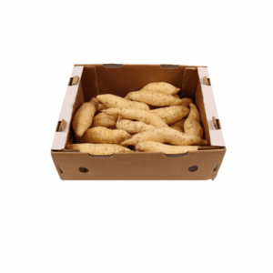 AARDAPPELEN ZOET WIT/WIT 10 KG