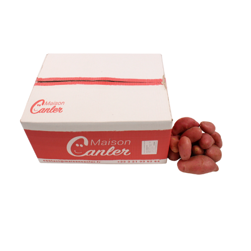 AARDAPPELEN ROSEVAL 12,5 KG