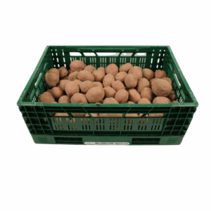 AARDAPPELEN BILDSTAR 20 KG