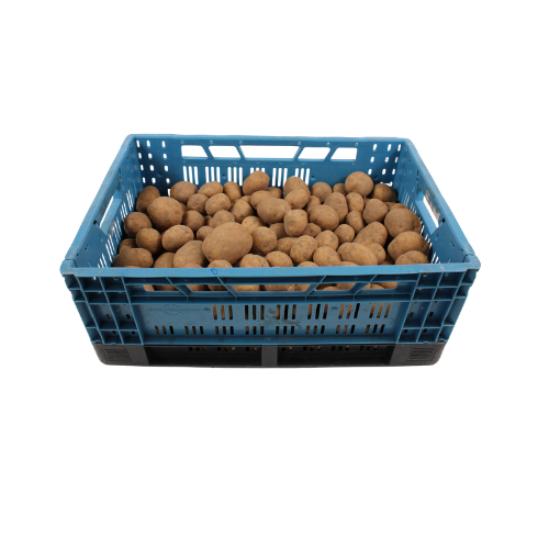 AARDAPPELEN DORÉ 20 KG