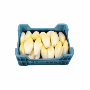 WITLOF MIDDEL MAAT 13-15 X5 KG