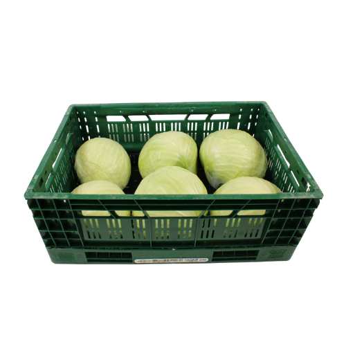 WITTEKOOL 15 KG 6 STUKS.