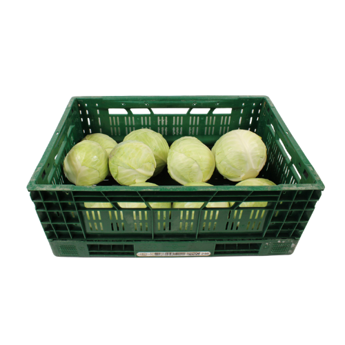 WITTEKOOL 15 KG 12 STUKS