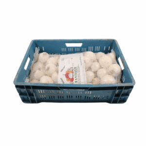 UIEN WIT MAAT 60/80 10 KG