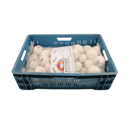 UIEN WIT MAAT 60/80 10 KG