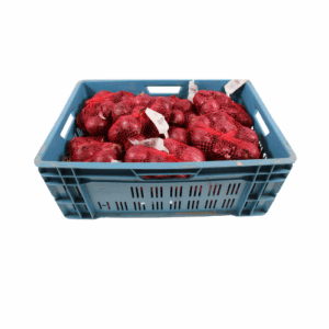 UIEN ROOD MAAT 40/60 20X1 KG