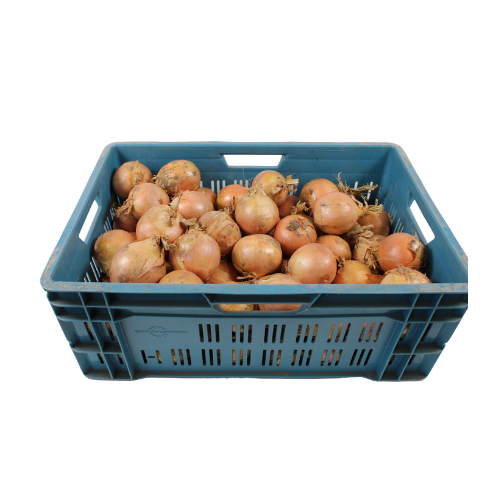 UIEN MAAT 80/100 20 KG