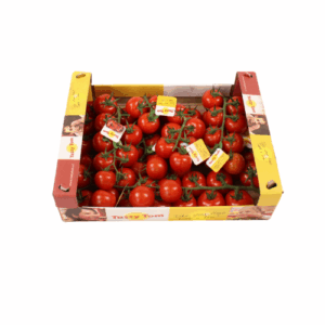 TOMAAT TASTY TOM 3,7 KG