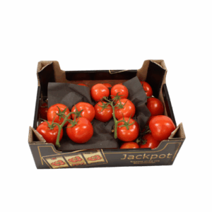 TOMAAT TROS 5 KG