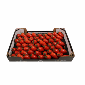TOMAAT SAN MARZANO 6 KG
