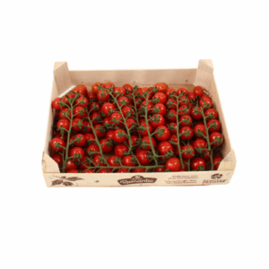TOMAAT REDSTAR ROMANTIC 3 KG