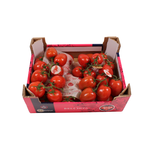 TOMAAT PRUIM RUBY RED 5 KG