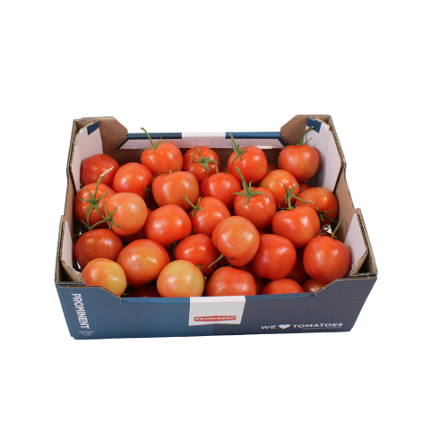 TOMAAT LOS KLASSE 2 5 KG