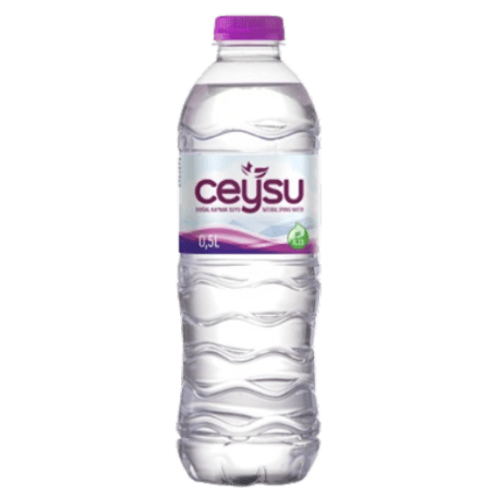 Ceysu Natuurlijk Bronwater PET 24x 0,5L